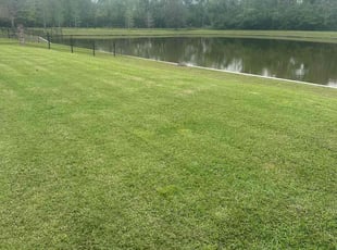 Adrienne N.'s turf maintenance service result