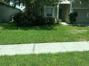 John C.'s turf care service result