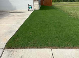 Gary B.'s lawn care service result