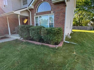 Deborah H.'s lawn care services service result