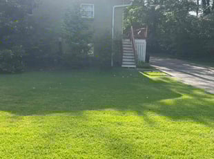 Larry W.'s turf care service result