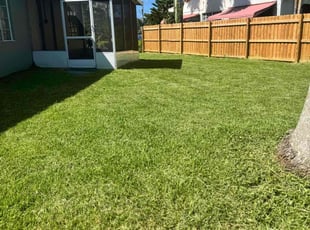 Richard C.'s Long Grass Cleanup service result