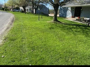 Josh F.'s lawn maintenance service result