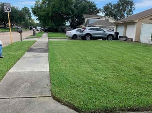 John P.'s landscaping service result