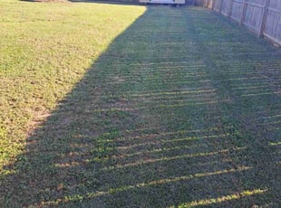 Phillip M.'s lawn maintenance service result