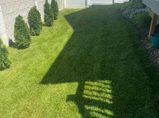 Dowayne R.'s turf care service result