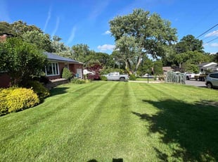 Rachel S.'s lawn service service result