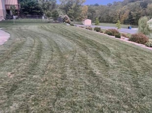 Barbara w.'s lawn care services service result
