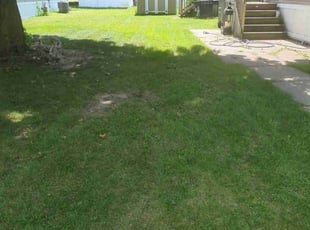 Irene B.'s lawn care services service result