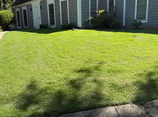 Mary M.'s turf maintenance service result