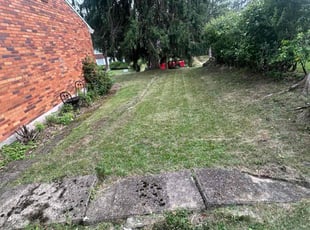 Christopher C.'s grass cutting service result