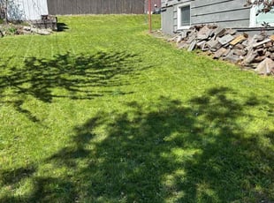 Donna M.'s grass cutting service result