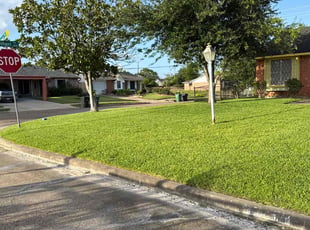 Cecilia B.'s lawn care services service result