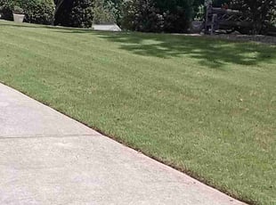 Hakan N.'s turf maintenance service result