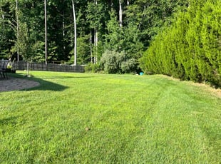 Sherry B.'s grass cutting service result