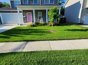 Tin M.'s turf care service result