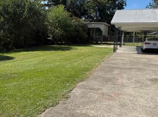 Carol W.'s turf care service result