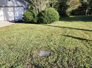 Amber T.'s turf care service result