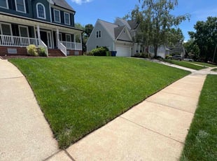 Julie M.'s lawn service service result