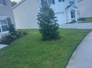 Toni L.'s lawn maintenance service result