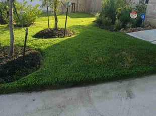 Steve V.'s lawn service service result