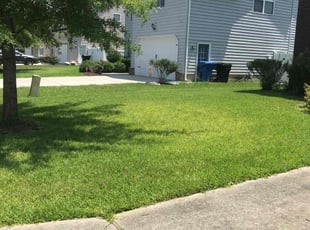 Briseli C.'s lawn care service result