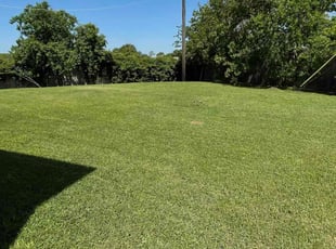 Nelson V.'s lawn care services service result