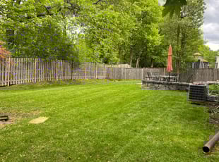 Cliff M.'s turf maintenance service result