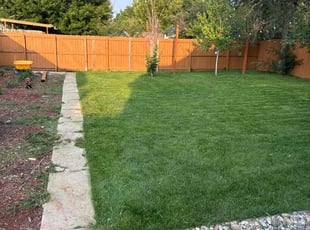 Daniel F.'s landscape maintenance service result