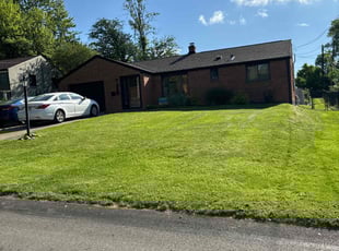 Susan D.'s grass cutting service result