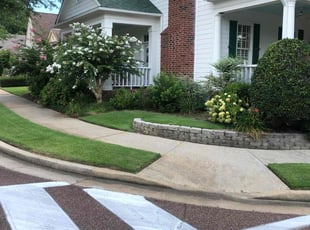 Tony C.'s turf maintenance service result