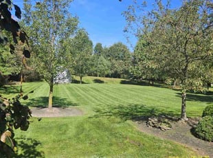 Tina H.'s grass cutting service result