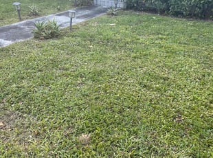 Merissa G.'s lawn care service result
