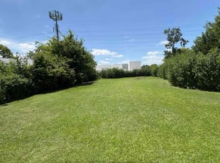 Shirley P.'s grass maintenance service result