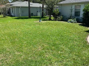 Ally D.'s lawn care service result