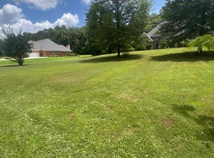 Gary P.'s grass maintenance service result