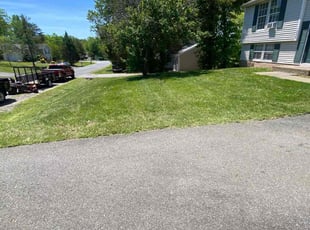 Michelle T.'s lawn care services service result