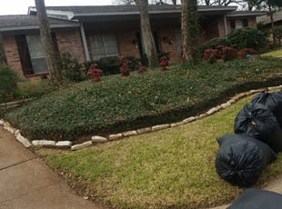 Leo P.'s Leaf Removal service result
