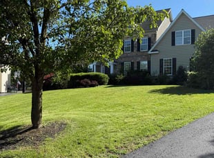 Ana B.'s residential landscaping service result