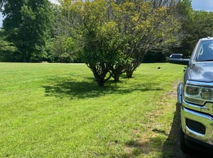 Les W.'s lawn maintenance service result