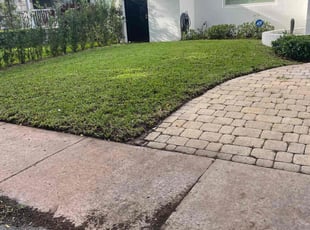 Ruth D.'s lawn maintenance service result
