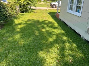 Ray H.'s turf maintenance service result