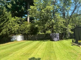 Jayson P.'s lawn maintenance service result