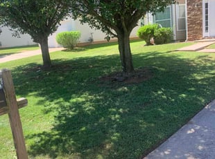 Shane F.'s grass cutting service result