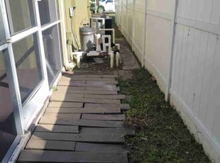 Dave S.'s grass cutting service result