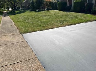 Ron B.'s turf care service result
