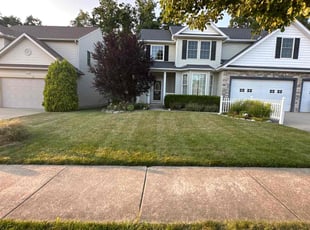 Barbara S.'s turf care service result