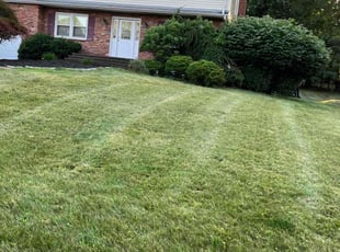 Bruce G.'s lawn maintenance service result