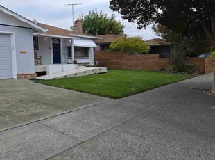 Veronica C.'s lawn care services service result