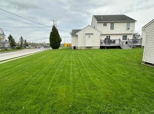 Sherman F.'s turf care service result